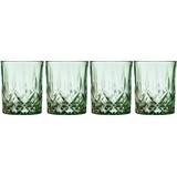 Green Whisky Glasses Lyngby Glas Sorrento Green Whisky Glass 32cl 4pcs