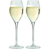 Glass Wine Glasses Maxwell & Williams Vino White Wine Glass 28cl 2pcs