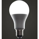 MiniSun 15W E27 LED GLS Light Bulb