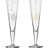 Handwash Champagne Glasses Ritzenhoff Goldnacht Champagne Glass 20.5cl 2pcs