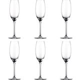 Rosenthal Glasses Rosenthal Thomas Divino Champagne Glass 19cl 6pcs