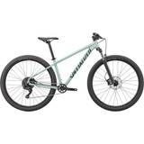 29" - Trail Bikes Mountainbikes Specialized Rockhopper Comp 29 2023 - Gloss CA White Sage/Satin Forest Green