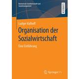 Organisation der Sozialwirtschaft (Geheftet)