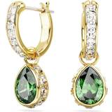 Green Jewellery Swarovski Stilla Drop Earrings - Gold/Transparent/Green