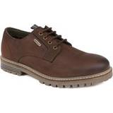 Low Shoes Barbour Sandstone - Chocolate