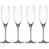 Spiegelau Authentis Champagne Glass 19cl 4pcs