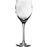 Kosta Boda Wine Glasses Kosta Boda Chateau XL Wine Glass 35cl