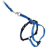PetSafe Come With Me Kitty Cat Harness & Bungee Leash Large