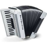 Blue Accordions Weltmeister Achat 80