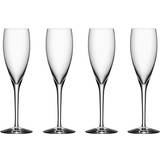 Orrefors more Orrefors More Champagne Glass 18cl 4pcs