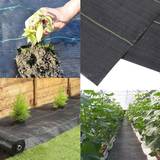 Weed Control Sheet 2m wide 10m length Heavy Duty Weed Control Garden Landscape Ground Cover
