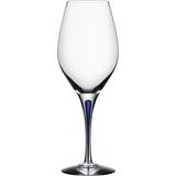 Orrefors Intermezzo Red Wine Glass, White Wine Glass 44cl