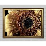 Ebern Designs Gerbera Vintage Gold Framed Art 118.9x84.1cm