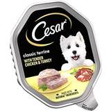 Cesar Classic Terrine Dog Food with Chicken and Turkey