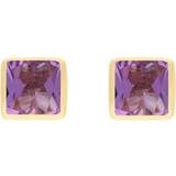 Amethyst Earrings C W Sellors 9ct Gold Sterling Silver Amethyst Stepping Stones Square Stud Earrings
