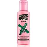 Shine Hair Dyes & Colour Treatments Renbow Crazy Color #46 Pine Green 100ml