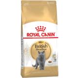 Royal Canin Cats - Dry Food Pets Royal Canin British Shorthair Adult