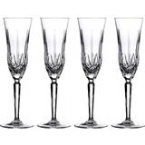Marquis by Waterford Maxwell Champagne Glass 17.7cl 4pcs