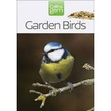 Animals & Nature Books Collins Gem - Garden Birds (Paperback, 2004)