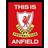 GB Eye Liverpool This is Anfield 30x40cm Poster Art