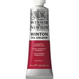 Oil Paint Winsor & Newton Winton Oil Color Permanent Crimson Lake 37ml