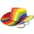 Bristol Rainbow Cowboy Hat