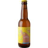 Non Alcoholic Mikkeller Drink'in in the Sun 0.3% 33cl