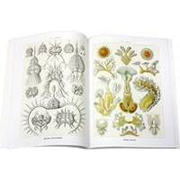 Art Forms In Nature Prints Of Ernst Haeckel Compare Prices Now