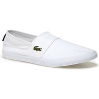 marice lace lacoste