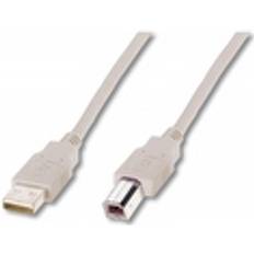 Assmann USB A-USB B 2.0 5m