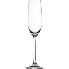 Glass Champagne Glasses Spiegelau Salute Champagne Glass 21cl 4pcs