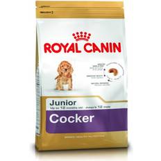 Royal Canin Cocker Spaniel Junior