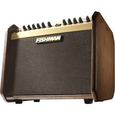 Direct Out XLR Instrument Amplifiers Fishman Loudbox Mini
