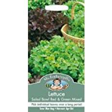 Mr Fothergills Seeds Ltd Lettuce Red & Green Salad Bowl Mix 1250 Seeds Pack