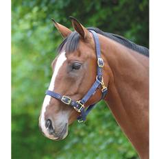 Turquoise Halters & Lead Ropes Shires Adjustable Halter