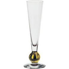 Orrefors Nobel Champagne Glass 21cl