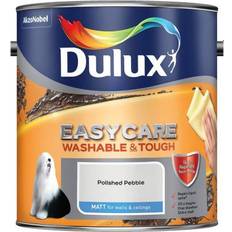 Dulux Grey Paint Dulux Easycare Ceiling Paint, Wall Paint Polished Pebble 5L