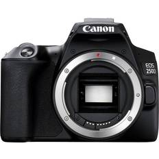 Canon 3840x2160 (4K) DSLR Cameras Canon EOS 250D