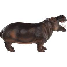 Safari Hippopotamus 229029