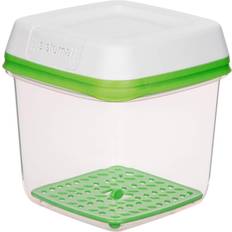Green Kitchen Containers Sistema Freshworks Kitchen Container 1.5L