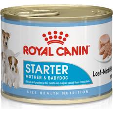 Royal Canin Starter Mousse 0.2kg
