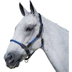 Horse Halters Kincade Leather Rope Headcollar