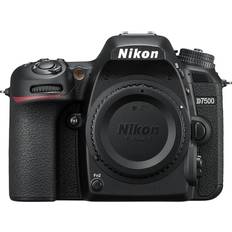 Nikon 3840x2160 (4K) DSLR Cameras Nikon D7500