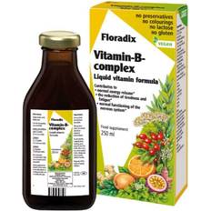 Vitamins & Minerals Floradix Vitamin B Complex 250ml