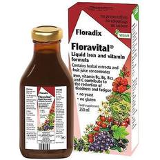 C Vitamins Vitamins & Minerals Floradix Floravital 250ml