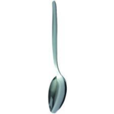 Stainless Steel Spoon F09655 Dessert Spoon 12pcs
