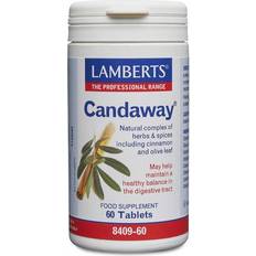 Lamberts Candaway 60 pcs