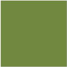 Duni Servett lin 40x40cm leaf green 45/FP