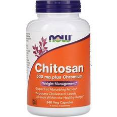 Now Foods Weight Control & Detox Now Foods Chitosan 500mg 240 pcs