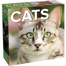 Cats 2022 Day-To-Day Calendar